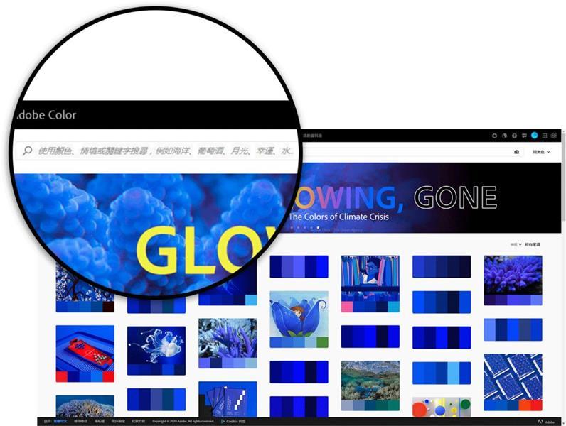 我删除了所有配色网站,只留下这一个